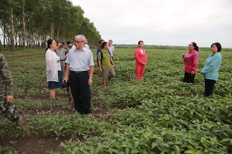 台湾土壤专家陈尊贤（左二，手持相机）考察东北试验田，分享土壤有机碳提升技术。