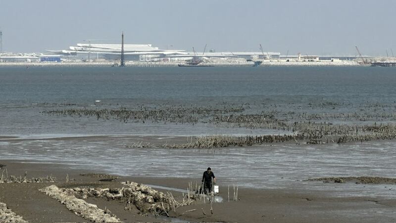 金门东北角泥化日益严重，官澳仅剩一处蚵田，厦门翔安机场近在咫尺。