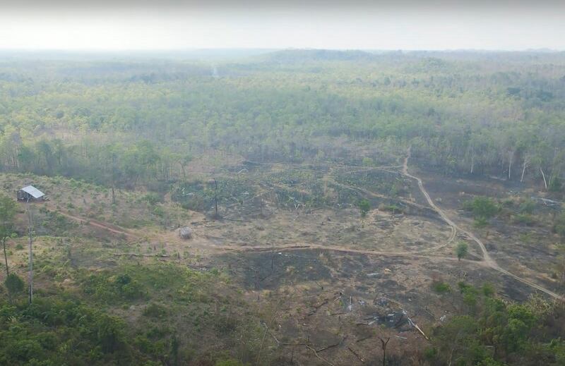 ENG_KHM_ForestClearing_04292024.2.jpg