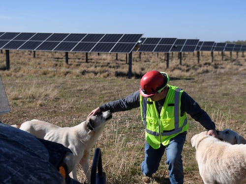 អាមេរិកដំឡើងពន្ធលើទំនិញបន្ទះសូឡានាំចូលពីកម្ពុជាជាង៣៥០០%